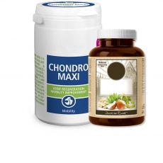 Vitamíny a liečivá pre psy