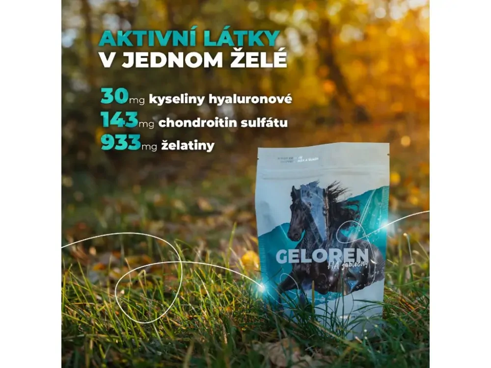 Geloren HA Jablková Kĺbová Výživa Pre Kone 450g